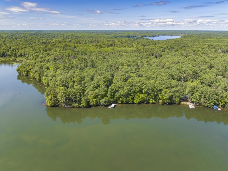 Horsehead Lake Cabins